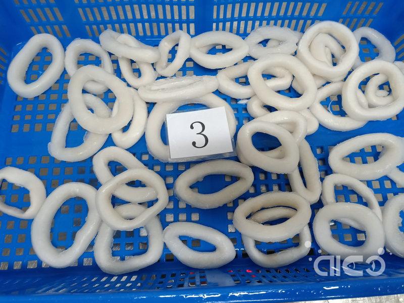 Squid rings 3-9cm (41).jpg