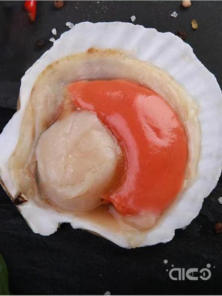 US scallop market fills domestic gap by leaning more on Japan...