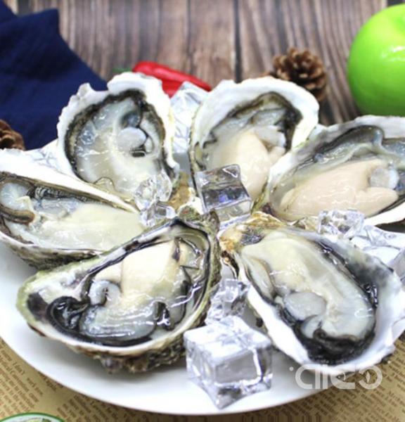 Half Shell Oysters