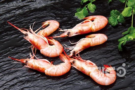 Red Shrimp (Solenocera Melantho)