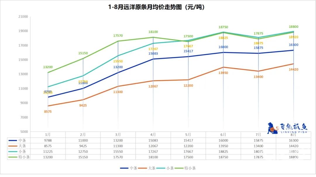 Gigas Squid Price(3).jpg