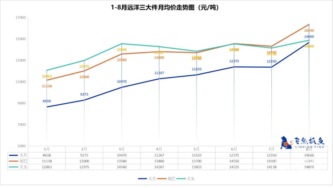 Gigas Squid Price(2).jpg